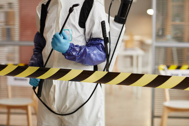 Professional Sewage Cleanup technician working in Yarmouth Port, MA